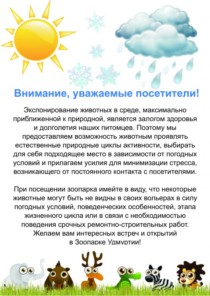 дождь снег.jpg дождь снег.jpg